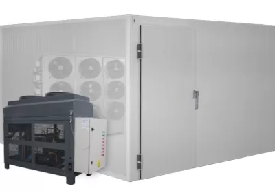 Caso de Éxito: Implementación de IoT para Monitoreo en Cámaras de Frío en Frigorífico